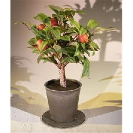 Paisaje Artificial Pomegranate Bonsai Tree PA2802589